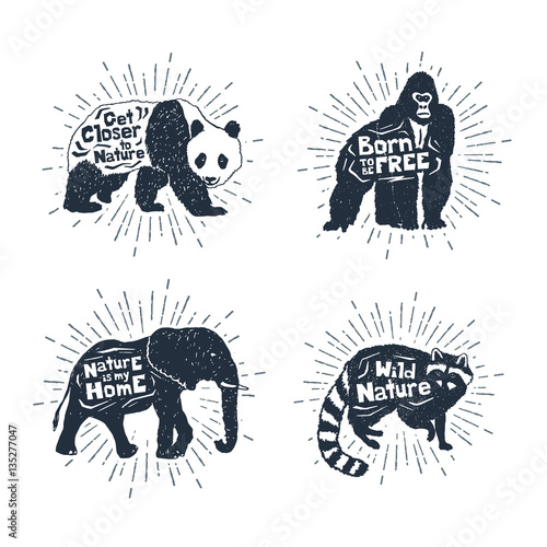 Hand drawn textured vintage badges set with panda, gorilla, elephant, and raccoon vector illustrations, and inspirational lettering.