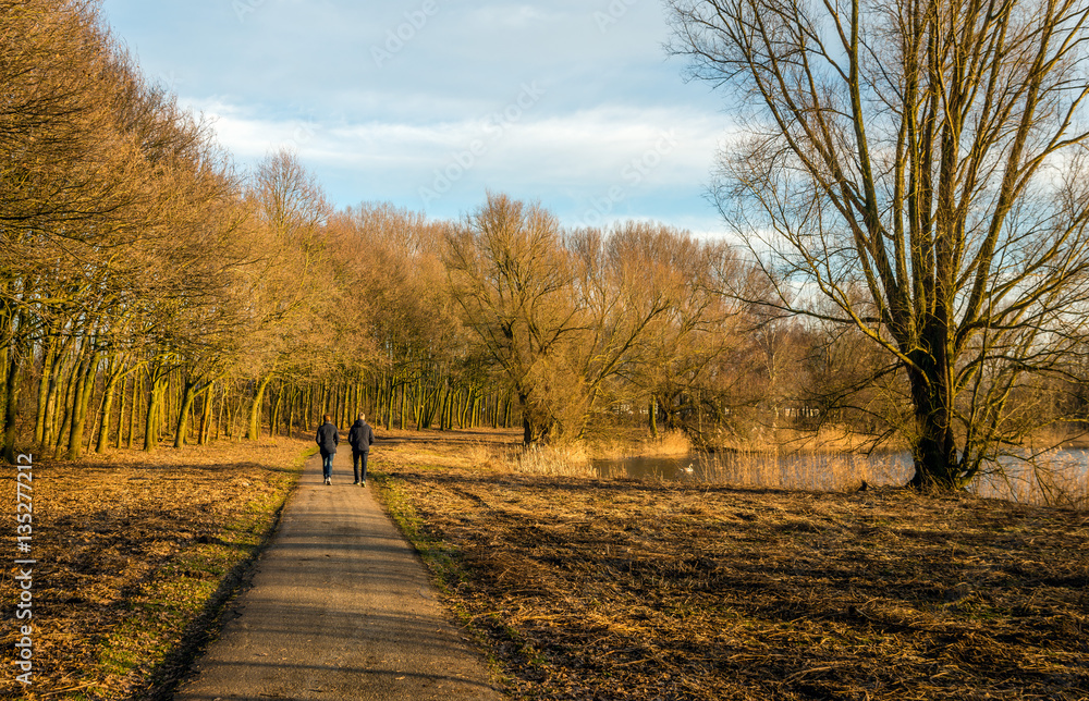 Man and woman walking along a path through an autumn forest Man and woman walking along a path through an autumn forest