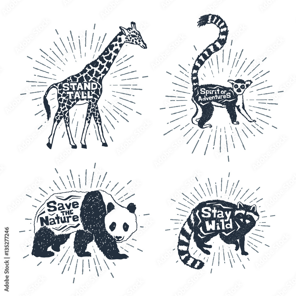 Fototapeta premium Hand drawn textured vintage badges set with giraffe, lemur, panda, and raccoon vector illustrations, and inspirational lettering.