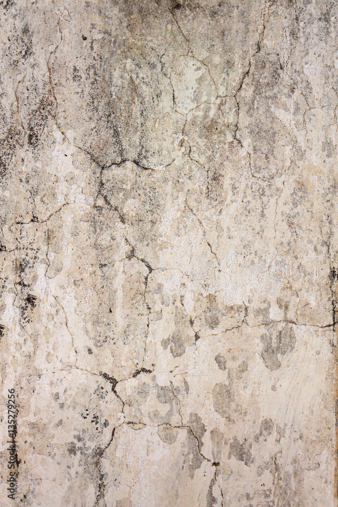 Naklejka premium Old stucco wall texture of beige color