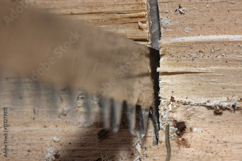 sägeblatt in holzstück, macro, holzarbeit,geringe Tiefenschärfe