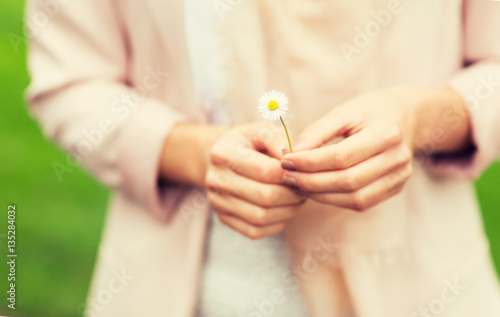 close up of woman hands with daisy flower