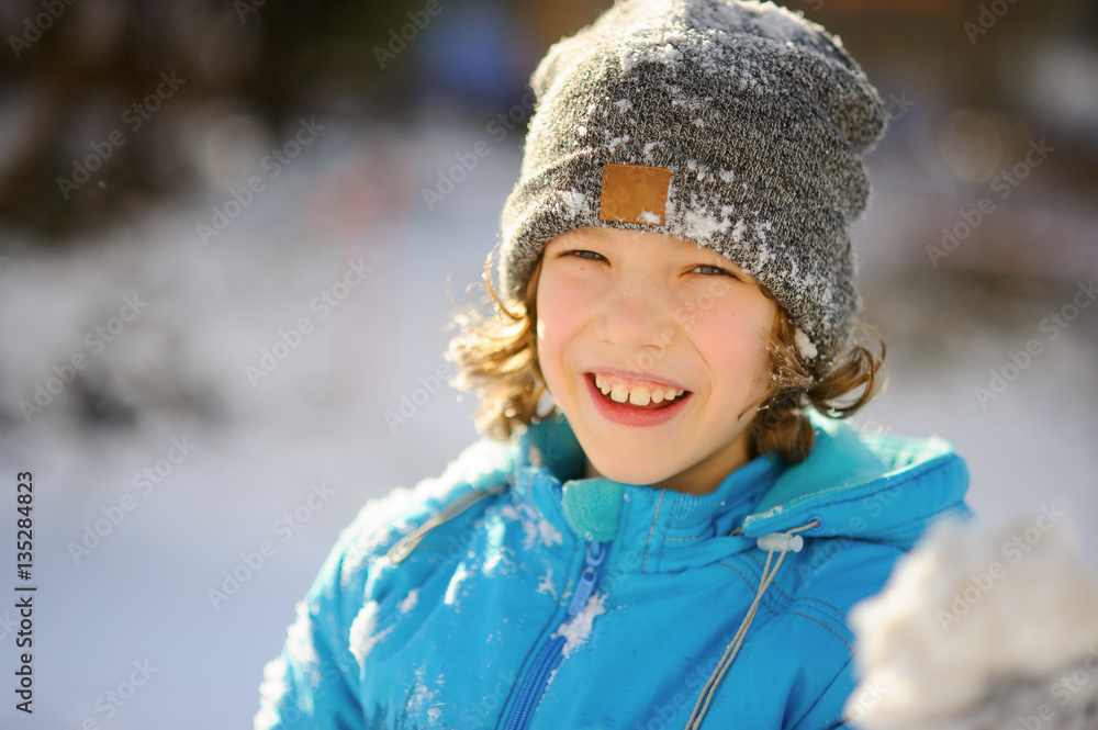 Winter portrait of the boy. Winter portrait of the boy.
