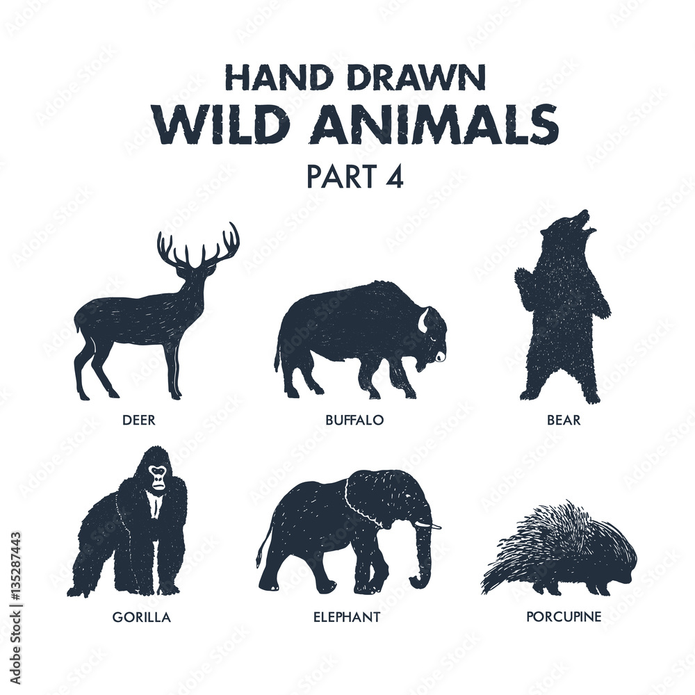 Wild Animals Signed Name Icons Set Stock Vector (Royalty Free) 1116242468