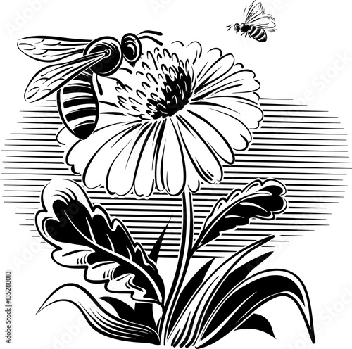 worker bee collecting pollen from a flower.