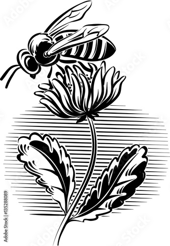 worker bee collecting pollen from a flower.