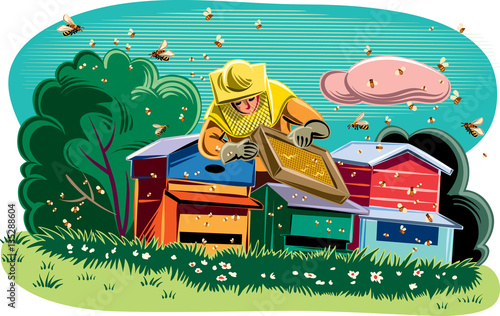 Beekeeper takes care of his hive, surrounded by worker bees.