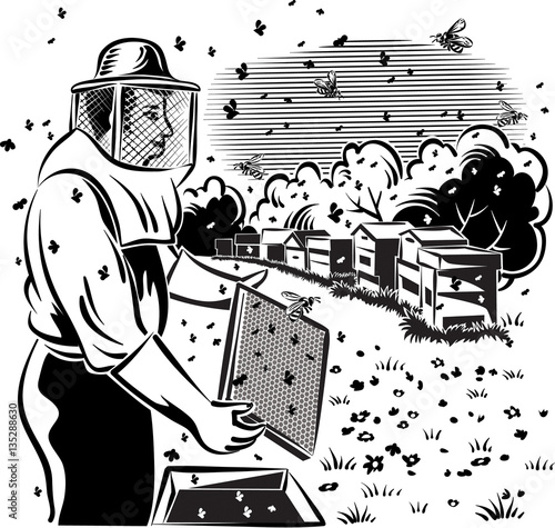 Beekeeper takes care of his hive, surrounded by worker bees.