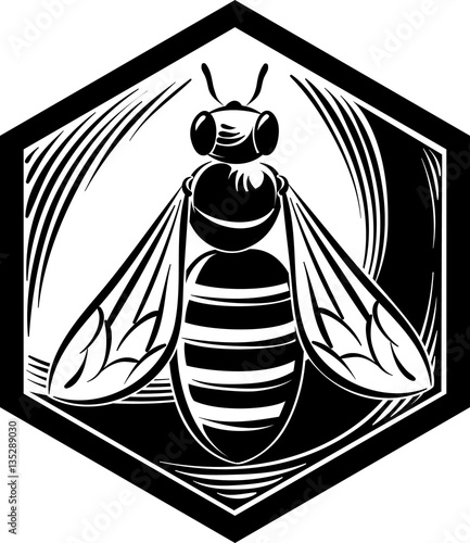 Hexagon frame with inside bee.