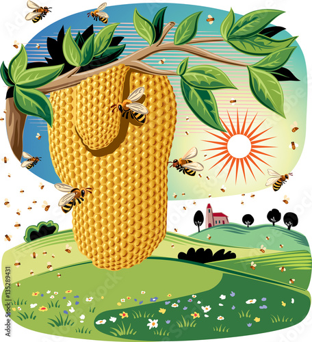 I honeycomb hanging from a branch, surrounded by worker bees, in an agricultural landscape.