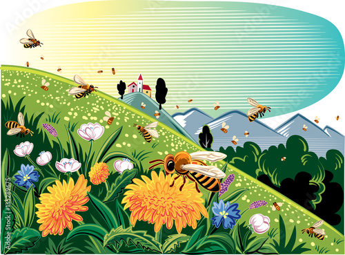Lawn mountain flower, worker bees fly on flowers.