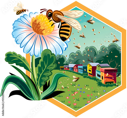 Hexagon frame with flowery scenery, hives, and worker bees on flowers.