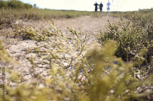 a blurred image of three people walking in the veld
