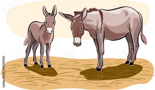 A donkey with her little puppy.