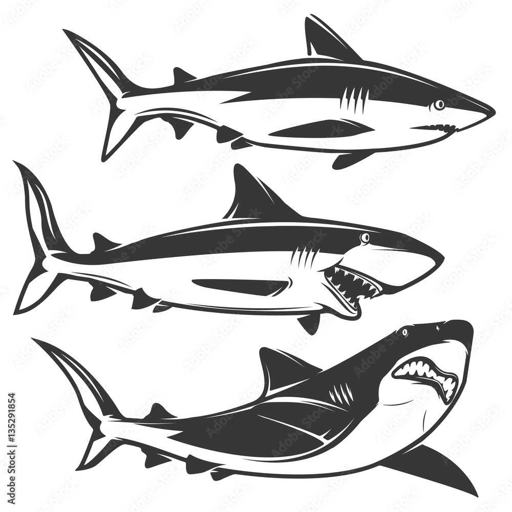 Naklejka Set of shark icons isolated on white background.