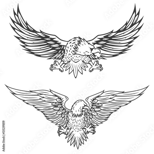 Illustration of flying eagle