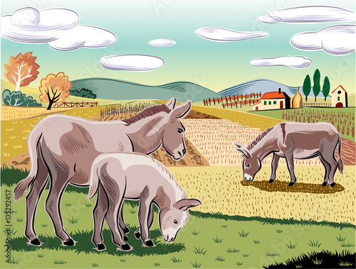 Ass with her puppy, another donkey grazing grass in a landscape.