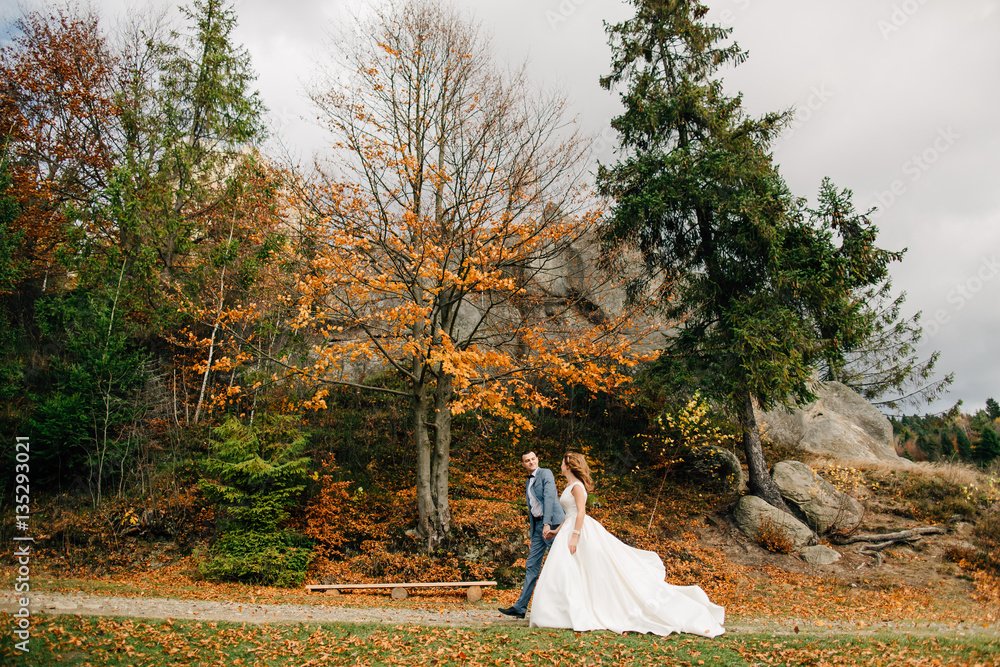 wedding couple walking in the mountains