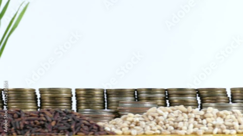 Zimbabwe flag waving with stack of money coins and piles of wheat and rice seeds