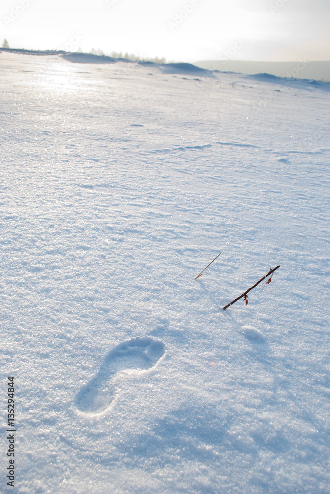 barefoot footprint in the snow