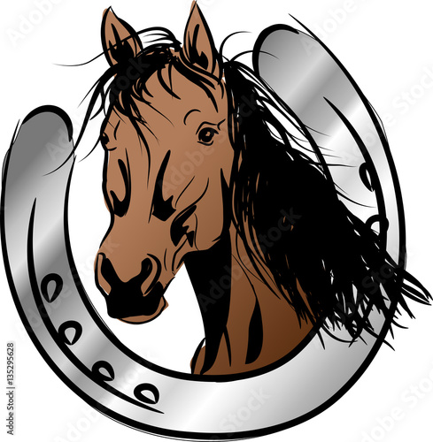 Fototapeta Naklejka Na Ścianę i Meble -  Brown horse with horseshoe