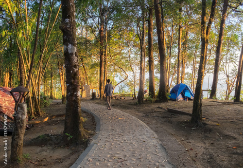 Tourists walking in rainforest national park photo