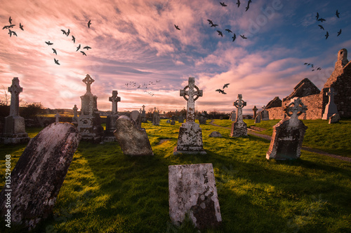 Historic cemetery in Clonmacnoise ,Ireland photo