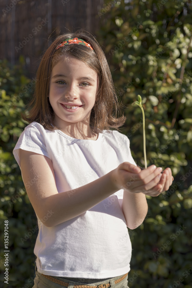 Little girl and young plant of a sunflower Little girl and young plant of a sunflower