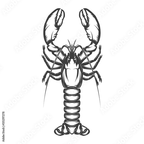 Lobster icon isolated on white background.