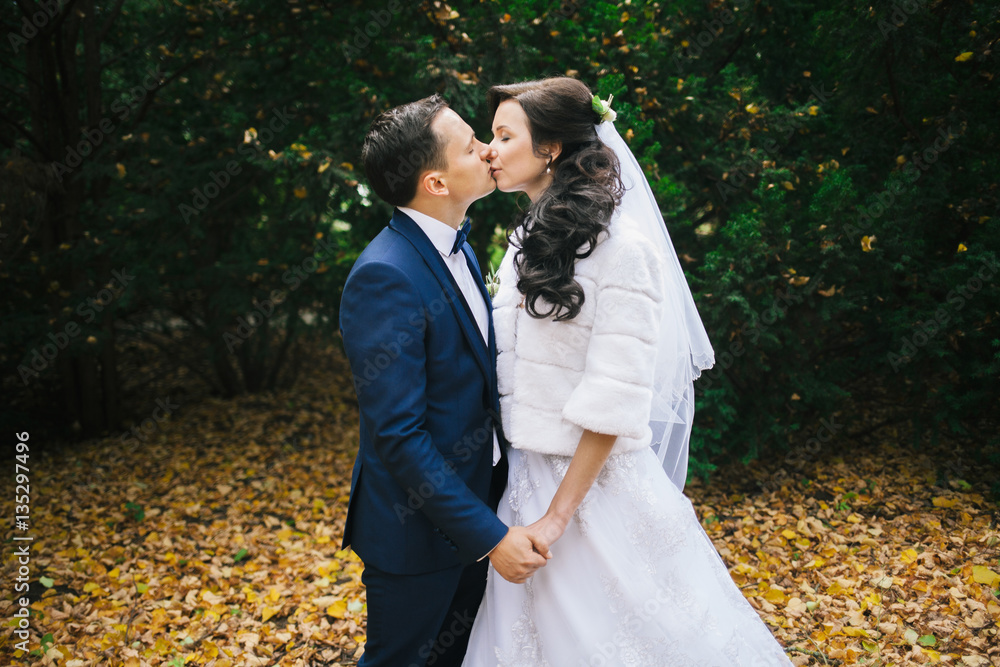 Wedding photo shoot. Beautiful groom and bride in nature. Wedding photo shoot. Beautiful groom and bride in nature.