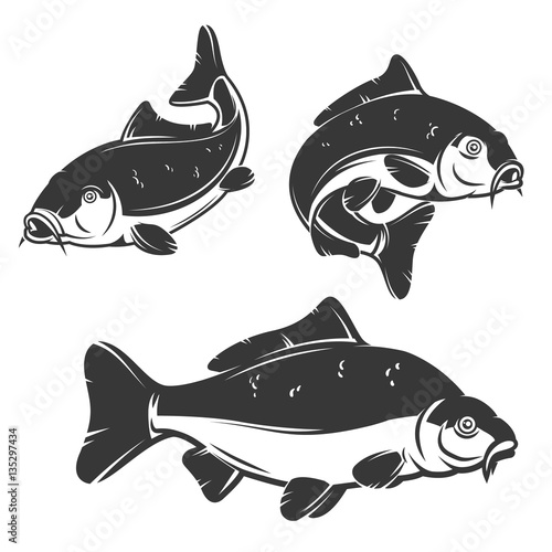 Set of carp fish icons isolated on white background.