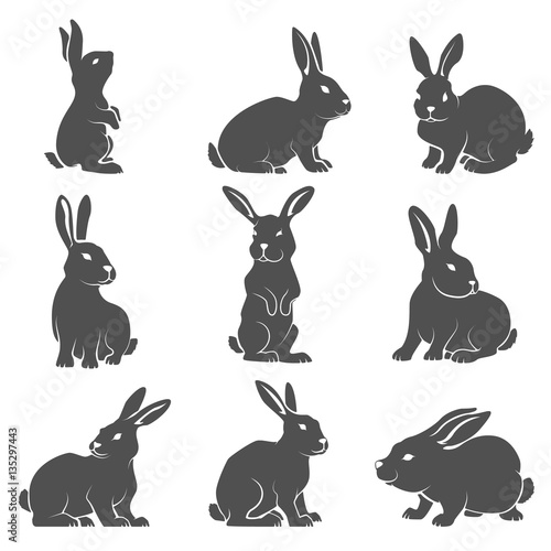 Set of rabbit icons isolated on white background.