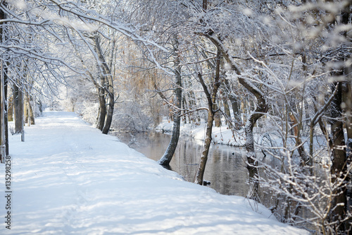 Road in winter forest. © azhurfoto