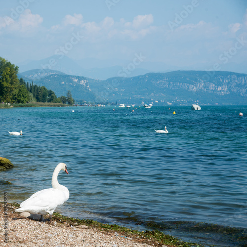 shore of Lake Garda