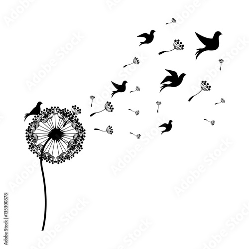 silhouette dandelion with fly birds vector illustration