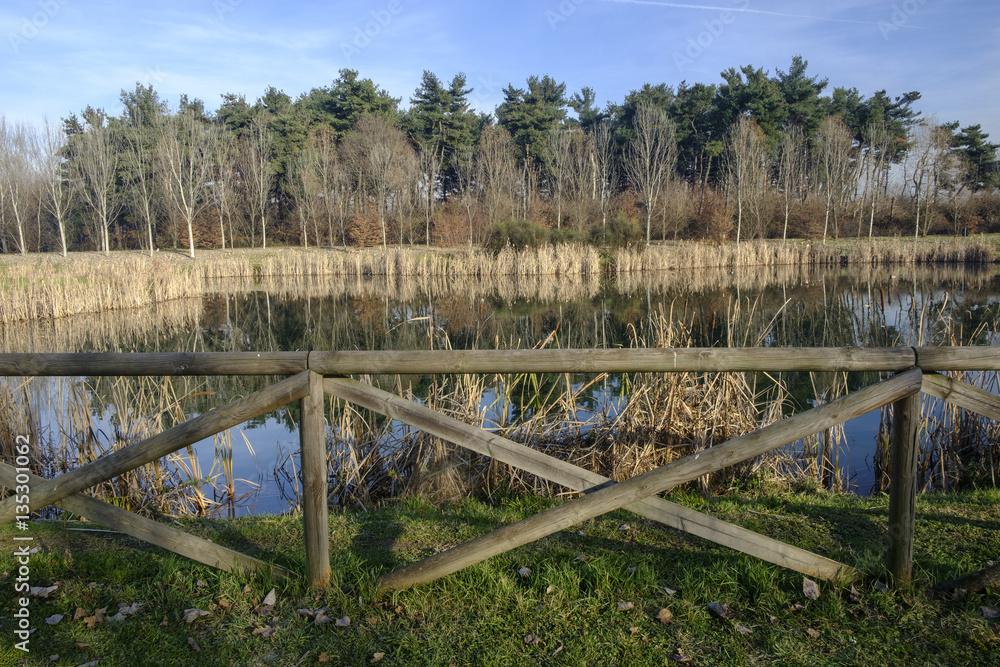 Fototapeta premium Park of Grugnotorto (Italy): lake at winter