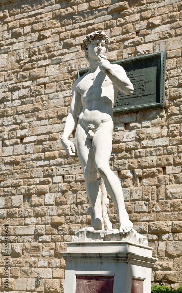 Naklejka premium A copy of the statue of David by Michelangelo, in the background of the Palazzo Vecchio in Piazza della Signoria in Florence