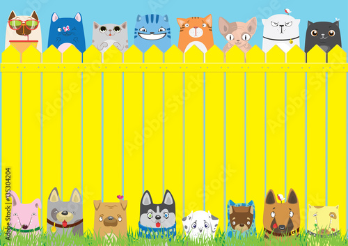 Cute pets background