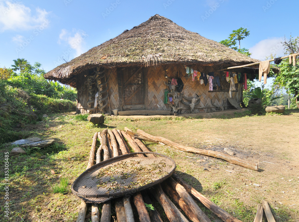 View of the Shangnyu village traditional hut  of the head hunters Konyak  tribe in the Indian Nagaland state
 - obrazy, fototapety, plakaty 