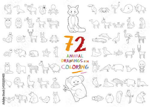 Set of 72 Animal Drawings for Coloring