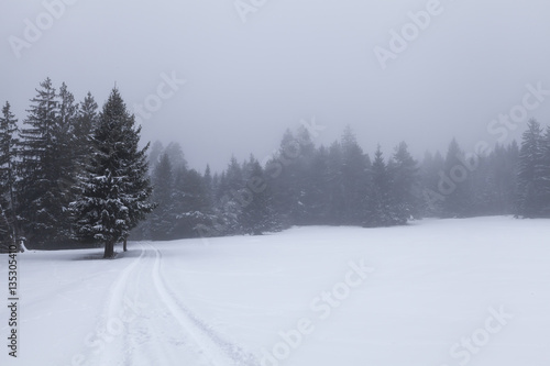 Winterlandschaft im Gailtal, Kaernten © Hanna Gottschalk