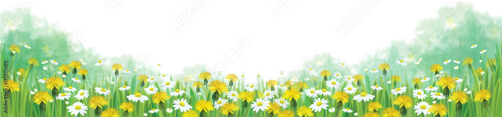 Obraz premium Wektorowy lata natury tło, chamomiles i dandelions pole