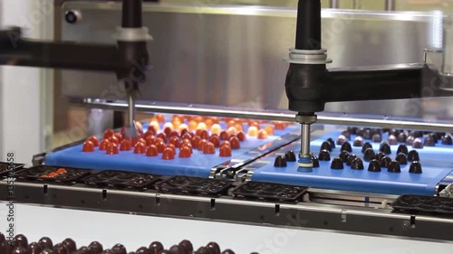 Picker line for chocolate bears, cookies, candies. Close up working process of transporter equipment