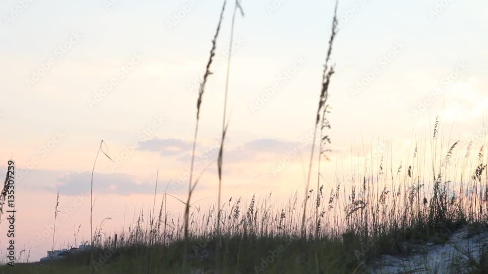 Sunset on a beach in Pensacola Florida. Sunset on a beach in Pensacola Florida.