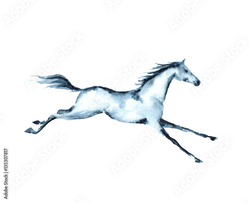 Hand painting watercolor galloping horse on white. 