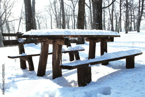 Park bench covered with snow