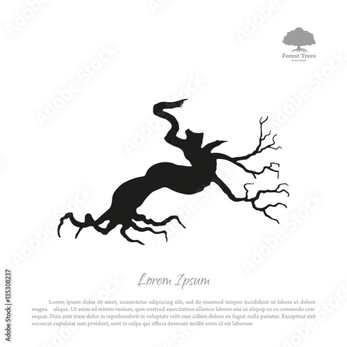 Silhouette of the old broken tree on a white background. Black d