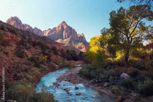 Small river it the Zion National Park at sunny day, USA