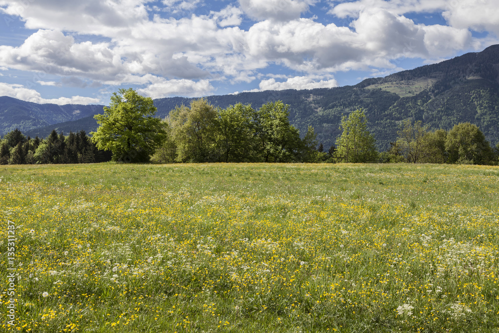 Obraz premium Gailtal, Kaernten