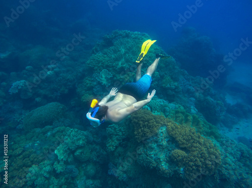 Man snorkeling in sea. Male snorkel dives to sea bottom with marine animals and plants.